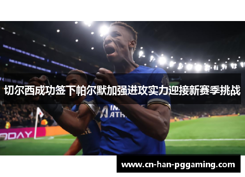 切尔西成功签下帕尔默加强进攻实力迎接新赛季挑战