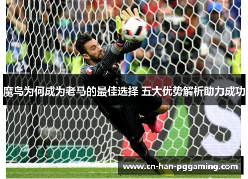 魔鸟为何成为老马的最佳选择 五大优势解析助力成功 魔鸟为何成为老马的最佳选择 五大优势解析助力成功
